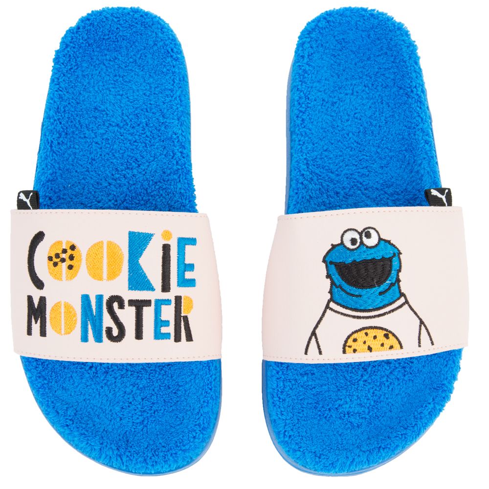 (GS) LEADCAT SESAME STREET 50 SLIDE