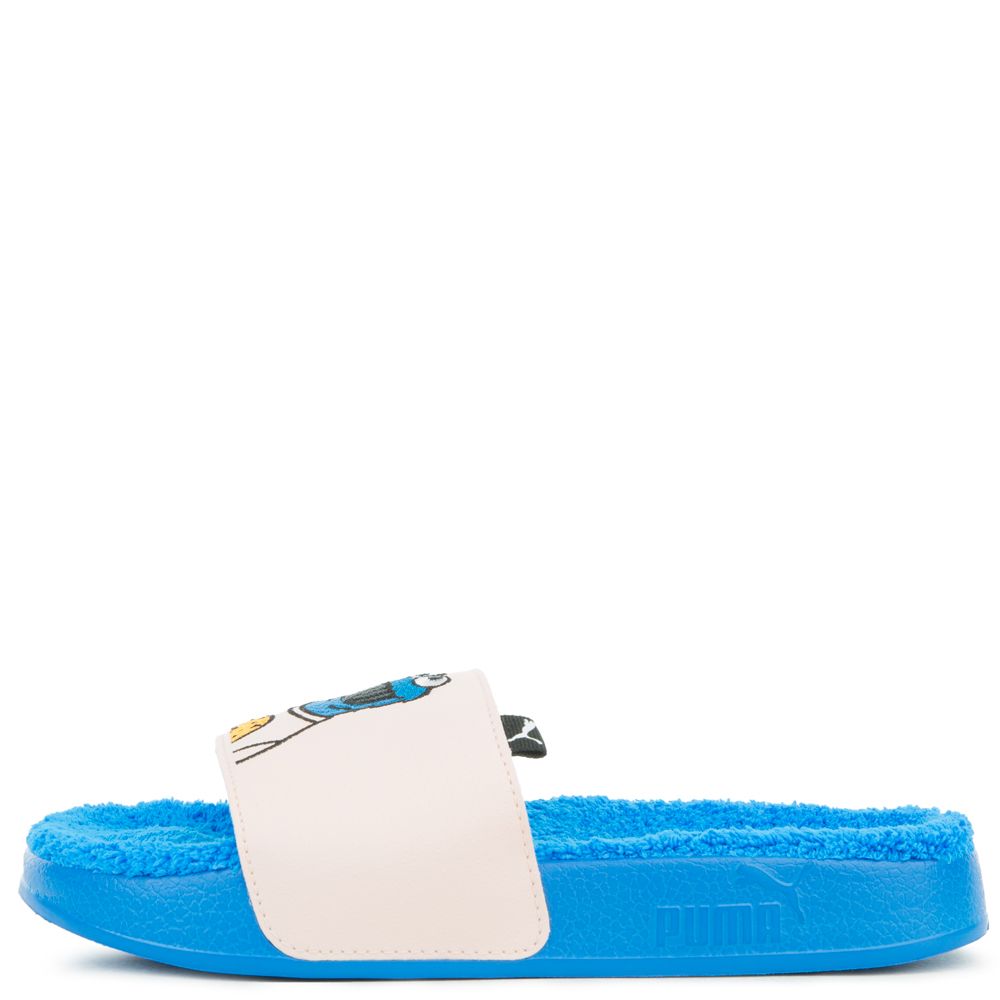 (GS) LEADCAT SESAME STREET 50 SLIDE