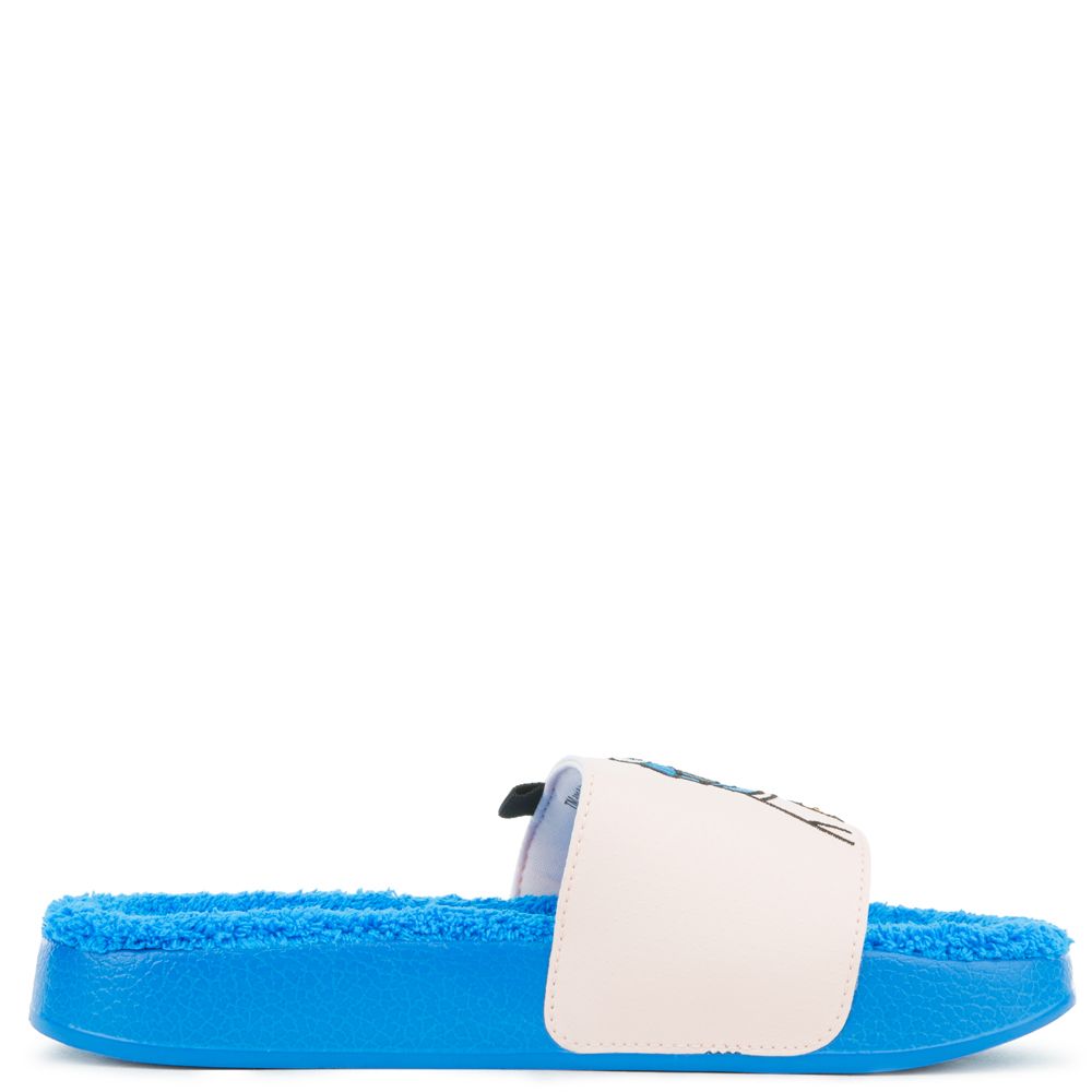 (GS) LEADCAT SESAME STREET 50 SLIDE 3 (GS) LEADCAT SESAME STREET 50 SLIDE