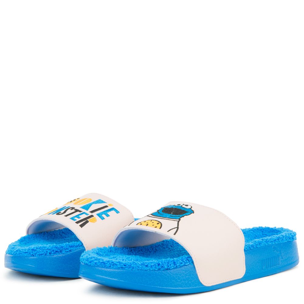 (GS) LEADCAT SESAME STREET 50 SLIDE 4 (GS) LEADCAT SESAME STREET 50 SLIDE