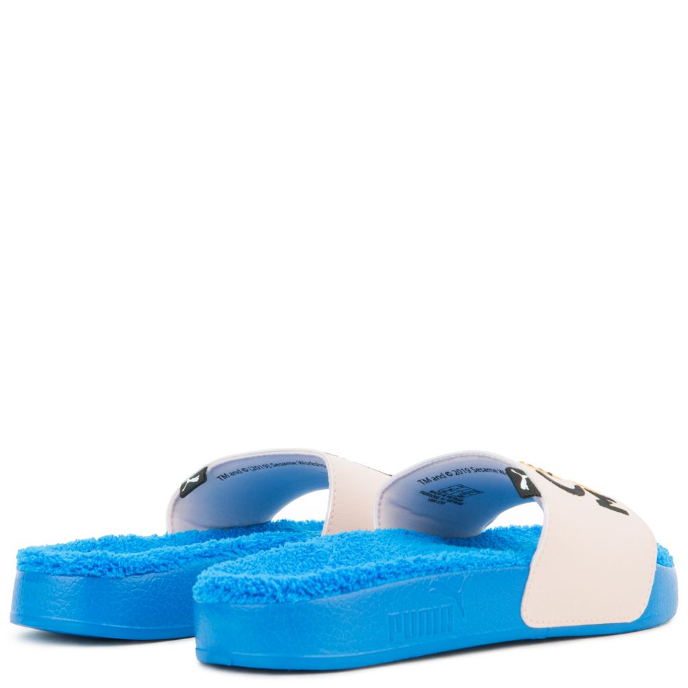 (GS) LEADCAT SESAME STREET 50 SLIDE 5 (GS) LEADCAT SESAME STREET 50 SLIDE