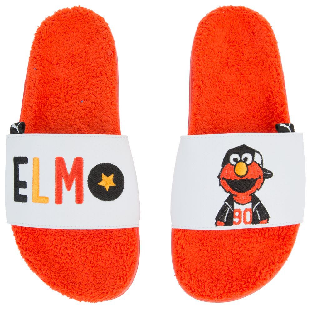 (GS) LEADCAT SESAME STREET 50 SLIDE