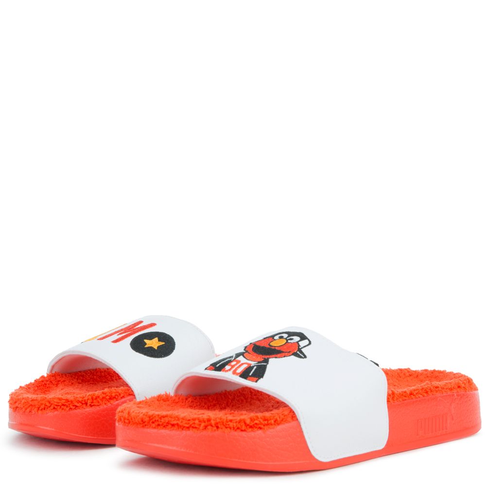 (GS) LEADCAT SESAME STREET 50 SLIDE 4 (GS) LEADCAT SESAME STREET 50 SLIDE