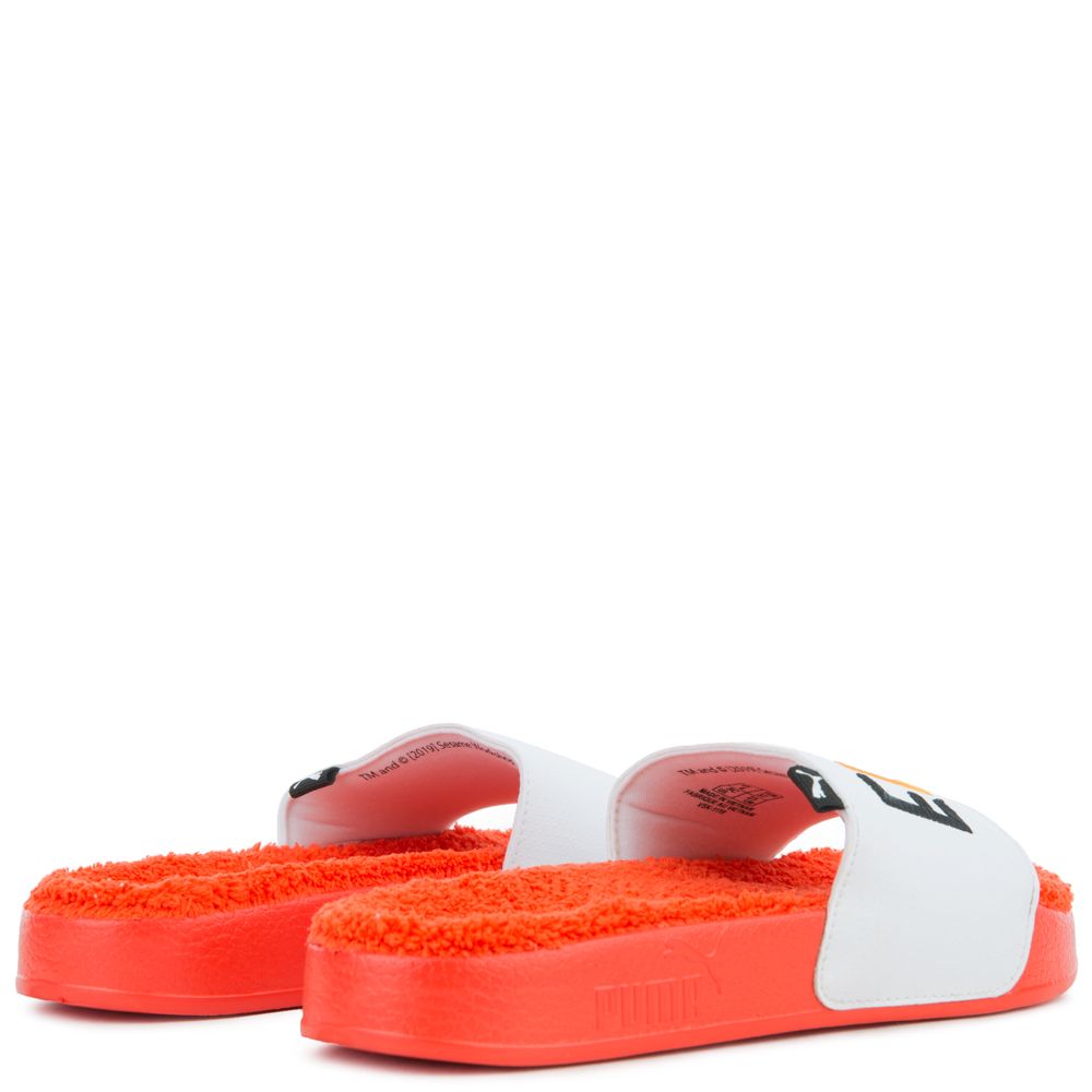 (GS) LEADCAT SESAME STREET 50 SLIDE 5 (GS) LEADCAT SESAME STREET 50 SLIDE