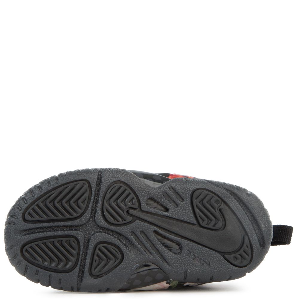 (TD) LITTLE POSITE ONE